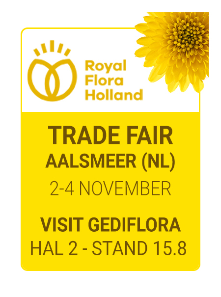 Royal FloraHolland Trade Fair