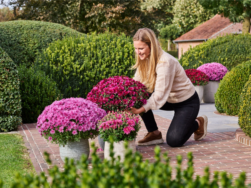 Why flowers are indispensable in your garden